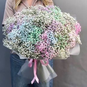Букет "Леденец" из 25 радужных гипсофил  в Яхроме