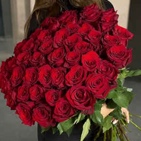 Букет 51 роза Эквадор Эксплорер (60 см) в Яхроме