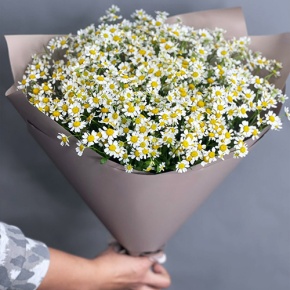 Букет из 17 ромашек танацетум в Яхроме