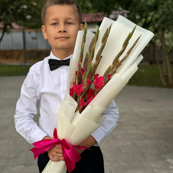 Букет на 1 сентября из 7 малиновых гладиолусов в Яхроме