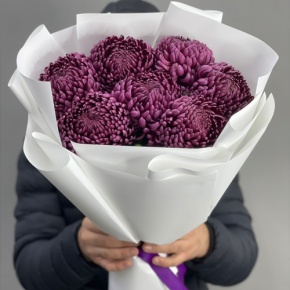 Букет "Винная легенда" из 7 хризантем Бигоуди в Яхроме