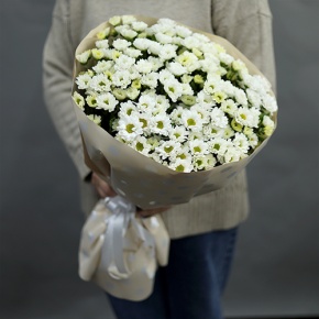 Букет "Милая моя" из 17 хризантем сантини в Яхроме