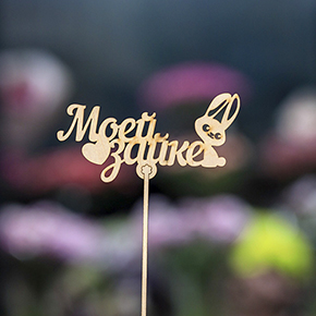 Топпер моей зайке в Яхроме