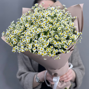 Букет из 17 полевых ромашек в Яхроме
