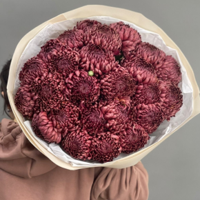 Букет 21 шоколадной хризантемы Бигоуди в Яхроме