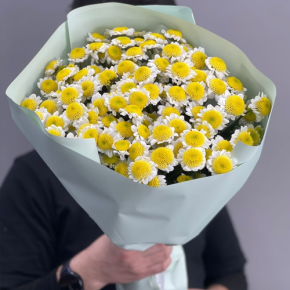 Букет "Моё солнышко" из 17 хризантем сантини  в Яхроме