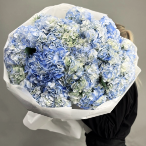 Букет из 23 синих гортензий в Яхроме