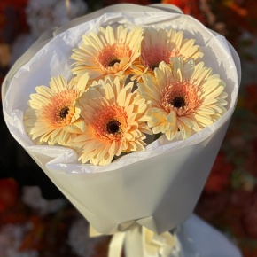 Букет из 5 персиковых гербер в Яхроме