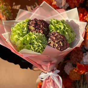 Букет из Голландских гортензий микс в Яхроме