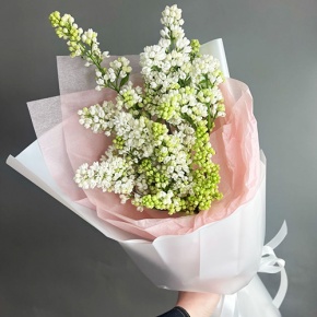 Букет ароматной белой сирени в Яхроме