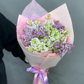 Букет из 11 веток сирени микс в Яхроме