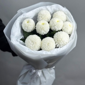Букет из 9 белых хризантем Момоко в Яхроме