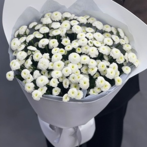 Букет "Белая дымка" из 25 хризантем сантини в Яхроме
