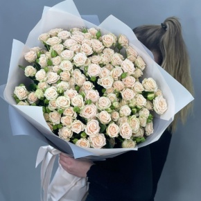Букет из 25 кремовых кустовых роз (70 см) в Яхроме