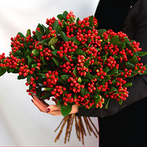 Букет из гиперикума в Яхроме