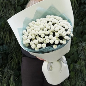 Букет из 25 хризантем Ньютон в Яхроме