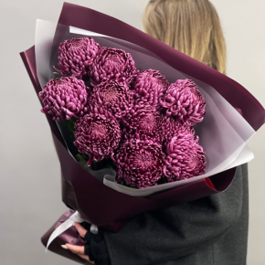 Букет "Изобилие" из 11 винных хризантем Бигоуди в Яхроме