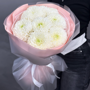 Нежный букет из 7 хризантем Магнум в Яхроме