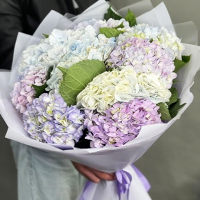 Букет из 9 Голландских гортензий микс в Яхроме