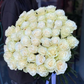 Букет из 51 розы Эквадор Мондиаль под ленту (80 см) в Яхроме