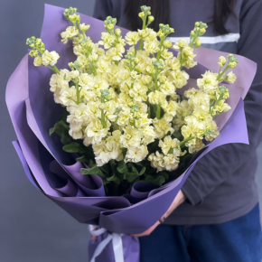 Букет из 15 лимонных маттиол в Яхроме