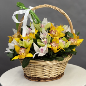 Композиция в корзине из 25 орхидей микс в Яхроме