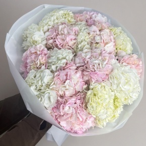Букет из 17 нежных гортензий в Яхроме