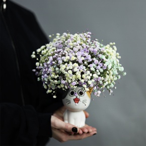 Композиция из гипсофил в керамическом кашпо в Яхроме