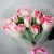 Букет "Фламинго" из 11 пионовидных тюльпанов в Яхроме Букет "Фламинго" из 11 пионовидных тюльпанов в Яхроме