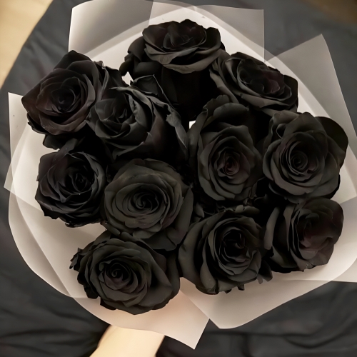 Букет "Черная королева" из 11 черных роз Эквадор (60 см) в Яхроме