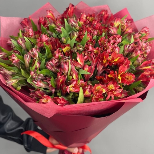 Монобукет из 25 красных альстромерий в Яхроме