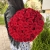 Букет 51 красной розы 50 см в Яхроме Букет 51 красной розы 50 см в Яхроме