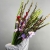 Букет из 25 гладиолусов микс в Яхроме Букет из 25 гладиолусов микс в Яхроме