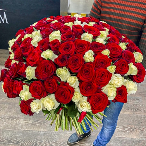 Букет 151 роза красный и белый микс (60 см) в Яхроме