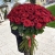 Букет из 101 красной розы (90 см) в Яхроме Букет из 101 красной розы (90 см) в Яхроме