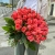Букет 51 роза коралл (60 см) в Яхроме Букет 51 роза коралл (60 см) в Яхроме
