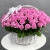 Композиция в корзине из 101 розовой розы Аква (40 см) в Яхроме Композиция в корзине из 101 розовой розы Аква (40 см) в Яхроме