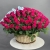Композиция в корзине из 151 малиновой розы в Яхроме Композиция в корзине из 151 малиновой розы в Яхроме