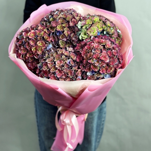 Букет из 5 космических Голландских гортензий в Яхроме