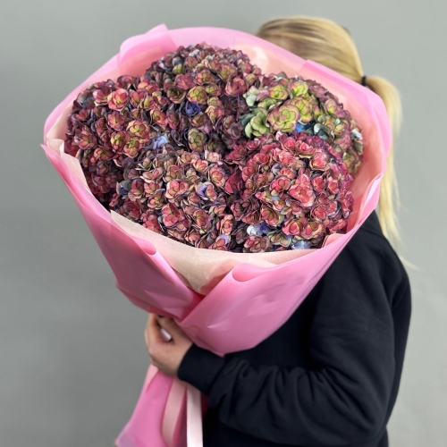 Букет из 5 космических Голландских гортензий в Яхроме